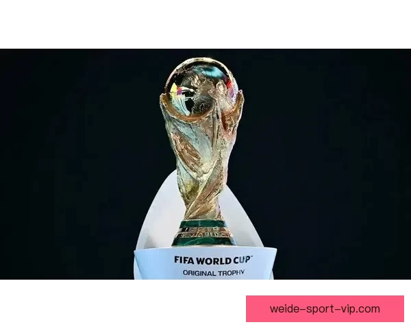 2026世界杯精彩回顾各队表现与冠军争夺全解析